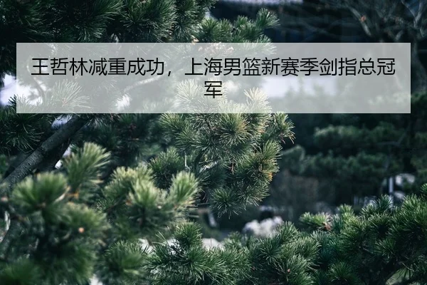 wang-zhe-lin-jian-zhong-cheng-gong-shang-hai-nan-lan-xin-sai-ji-jian-zhi-zong-guan-jun-2-293.jpg