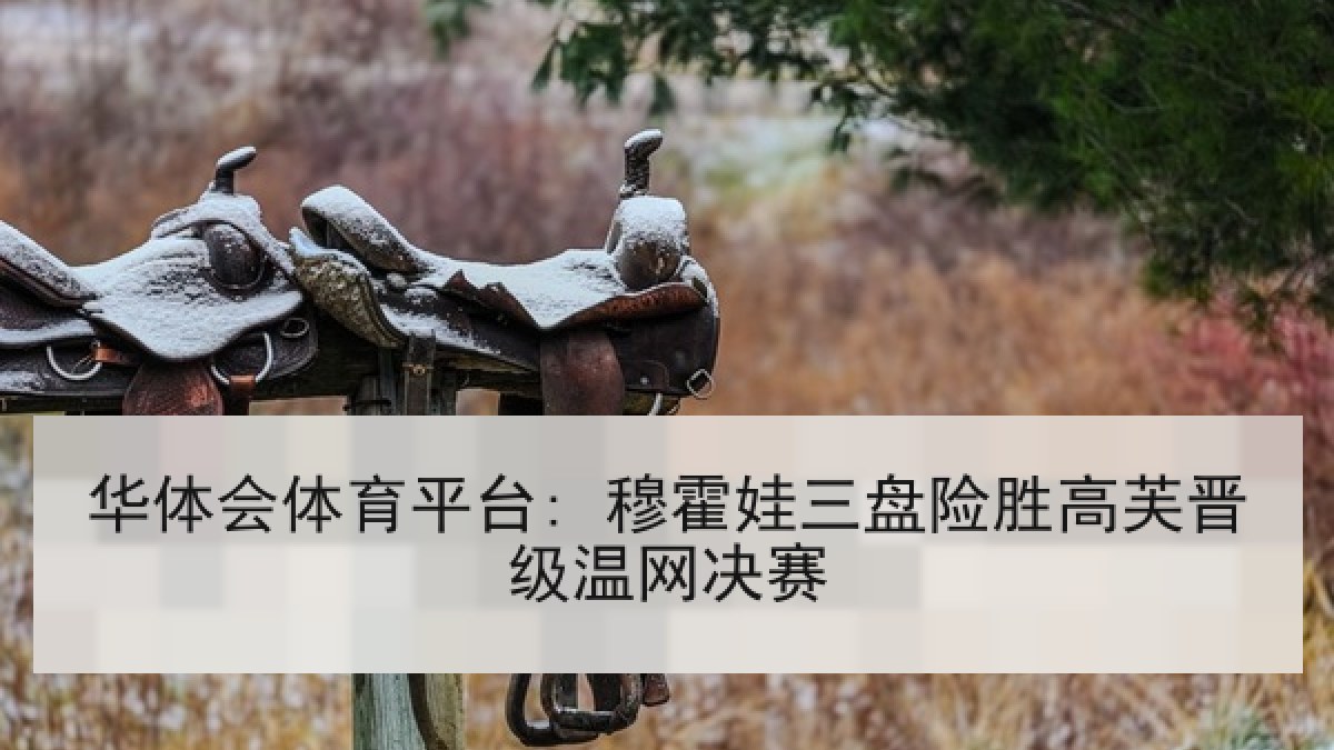 华体会体育平台: 穆霍娃三盘险胜高芙晋级温网决赛