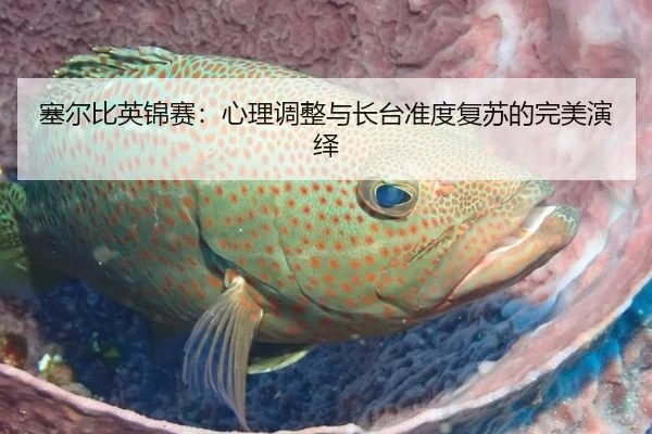 塞尔比英锦赛：心理调整与长台准度复苏的完美演绎