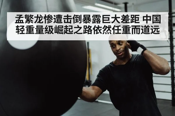 boxer punching heavy bag